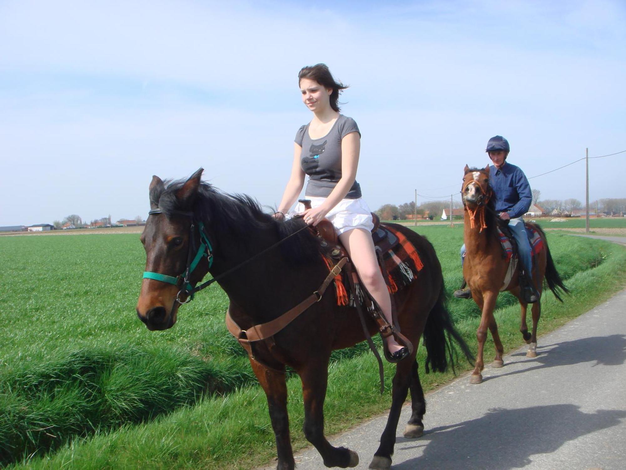 B&B Kanegem Onverbloemd Tielt Zewnętrze zdjęcie